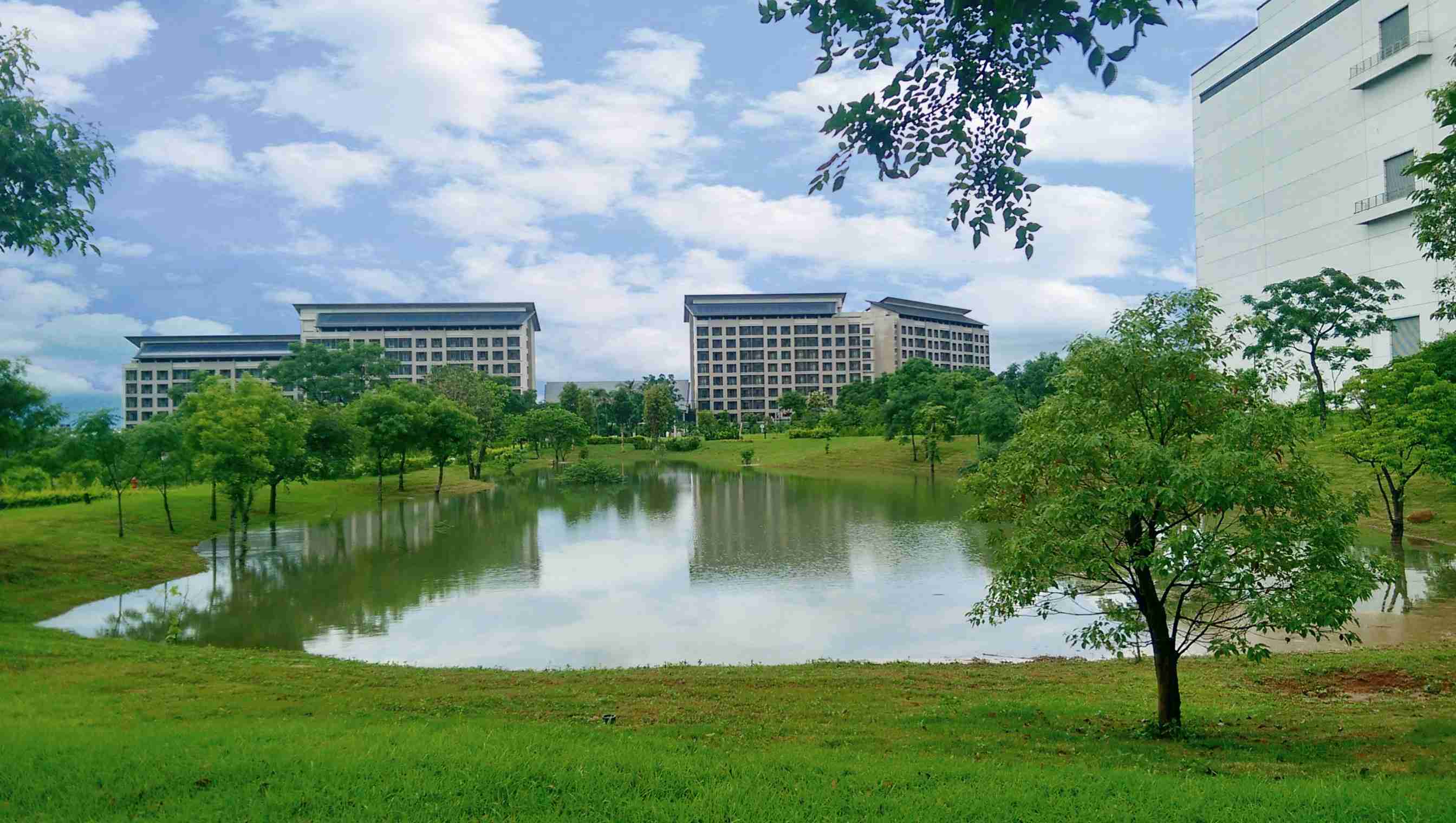 彩运网响应国际倡议生物多样性趋势，，首次发布TNFD自然相关财务揭露报告书，，，，擘划及开展彩运网生物多样性政策之承诺，，逐步迈向与自然和谐共生